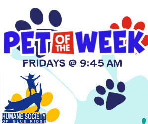 Humane Society Pet Of The Week: Titan